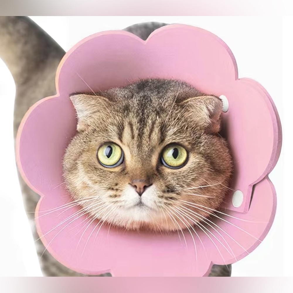 Pet Recovery Collar, Soft Cat